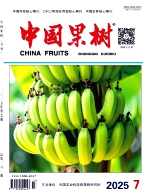 中国果树杂志
